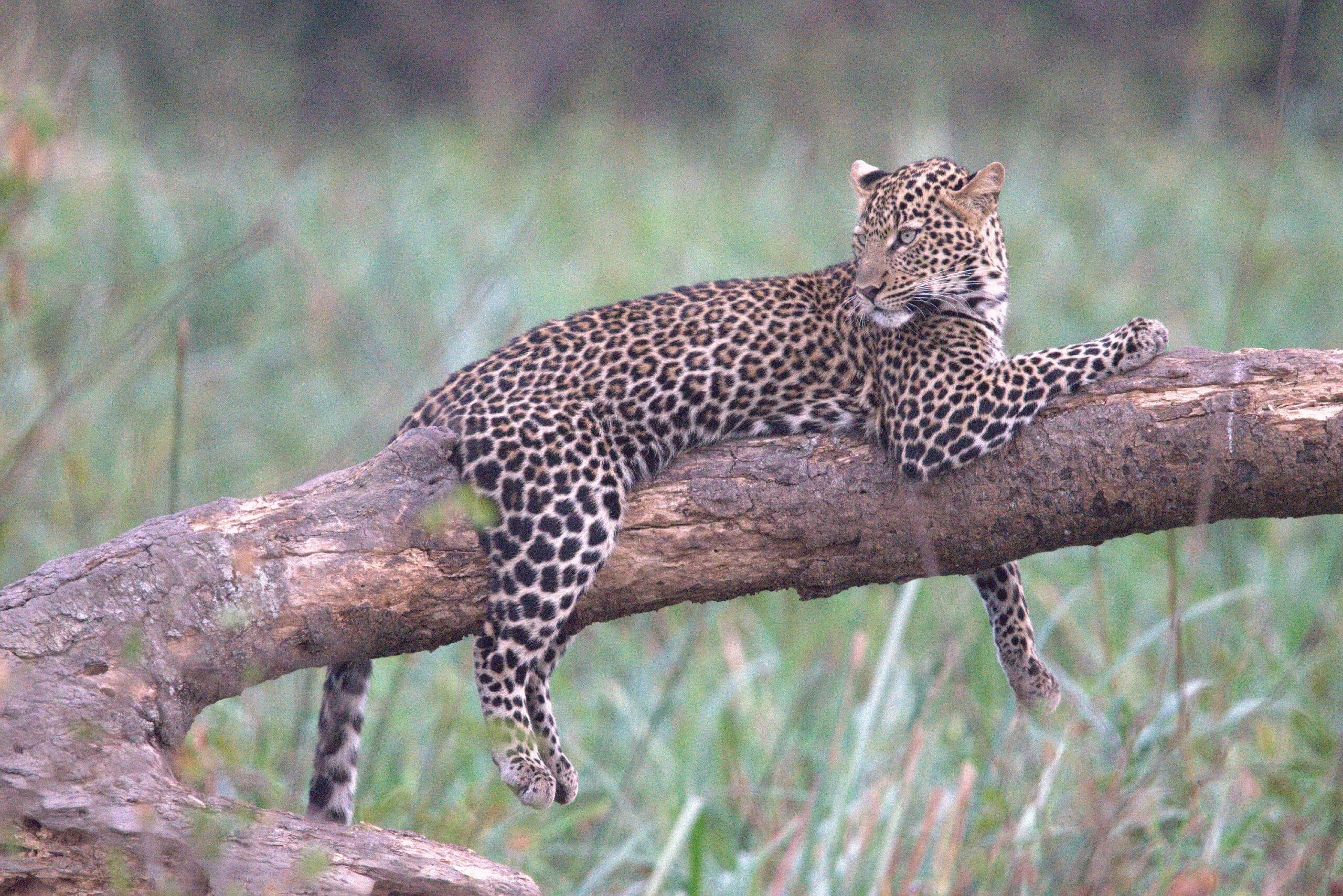 image of Kidepo Valley National Park