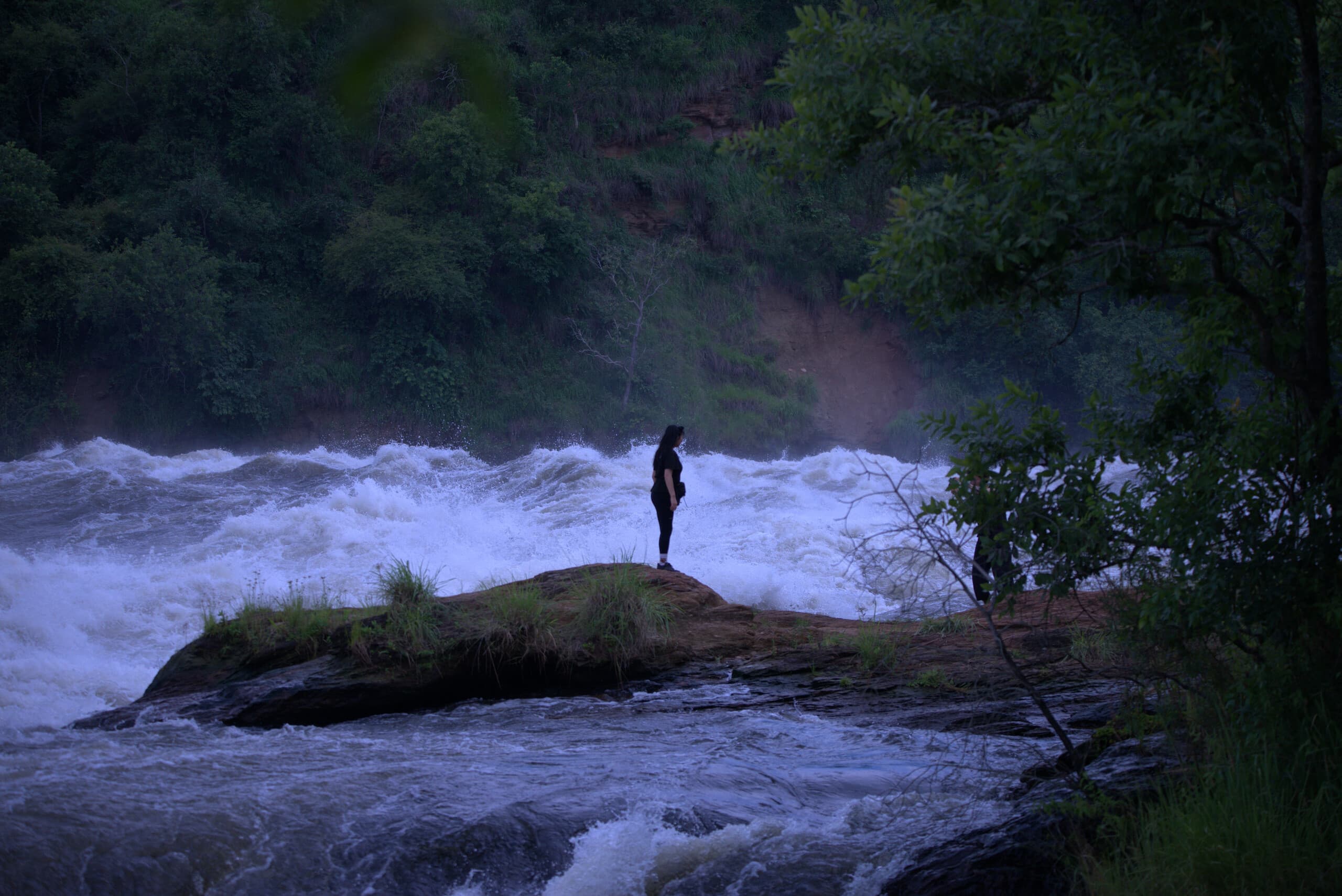 Image of a lower view of Murchison falls national park